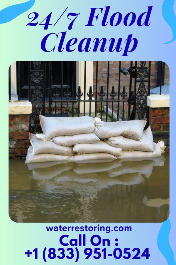 24/7 Flood Cleanup in Poth, TX